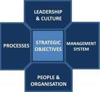 Operations Reviews and Consulting